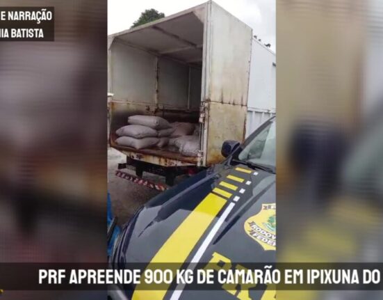 PRF apreende 900 kg de camarão em Ipixuna do Pará/PA